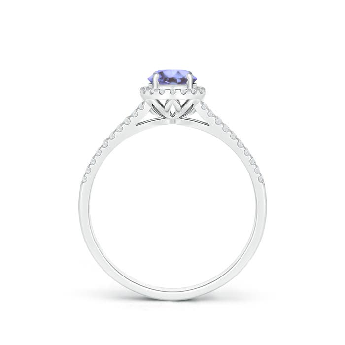 AA - Tanzanite / 0.67 CT / 14 KT White Gold