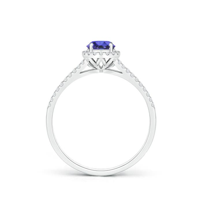 AAA - Tanzanite / 0.67 CT / 14 KT White Gold