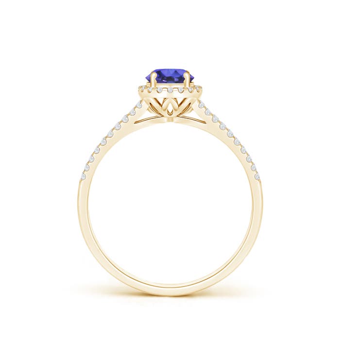 AAA - Tanzanite / 0.67 CT / 14 KT Yellow Gold