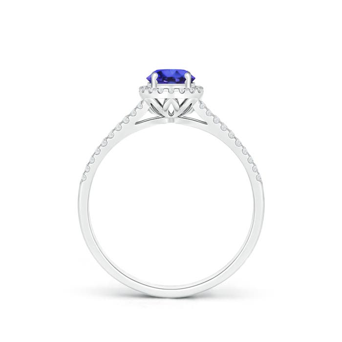 AAAA - Tanzanite / 0.67 CT / 14 KT White Gold