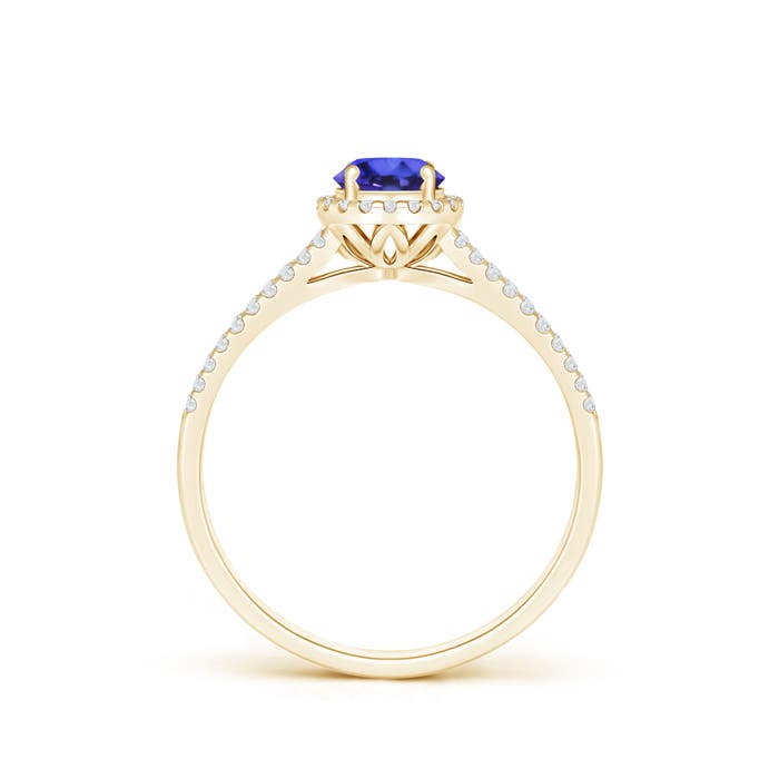 AAAA - Tanzanite / 0.67 CT / 14 KT Yellow Gold