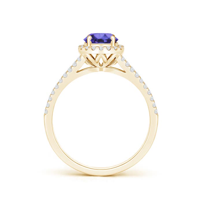 AA - Tanzanite / 1.19 CT / 14 KT Yellow Gold