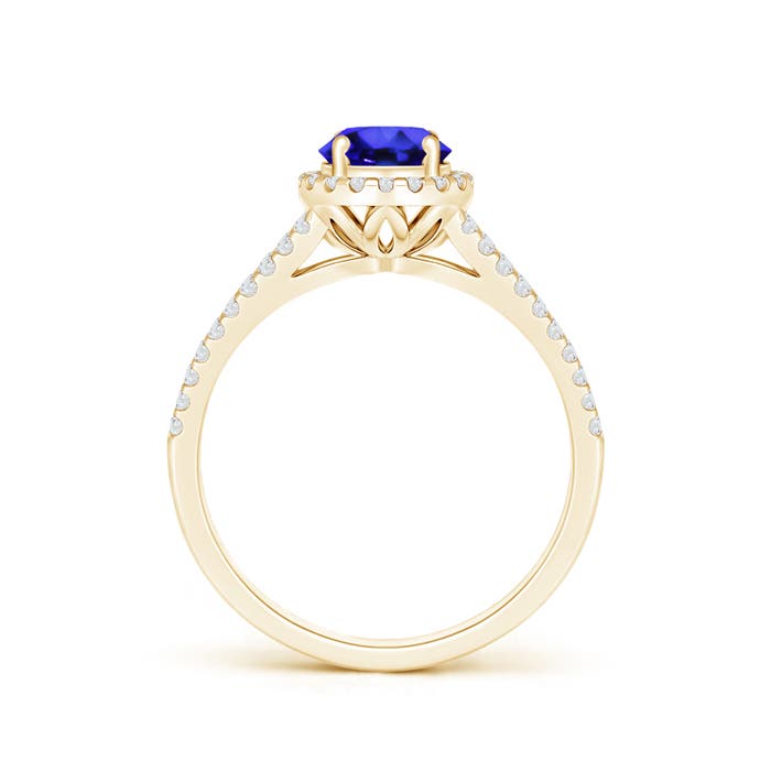 AAA - Tanzanite / 1.19 CT / 14 KT Yellow Gold