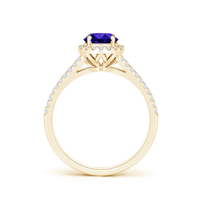 AAAA - Tanzanite / 1.19 CT / 14 KT Yellow Gold