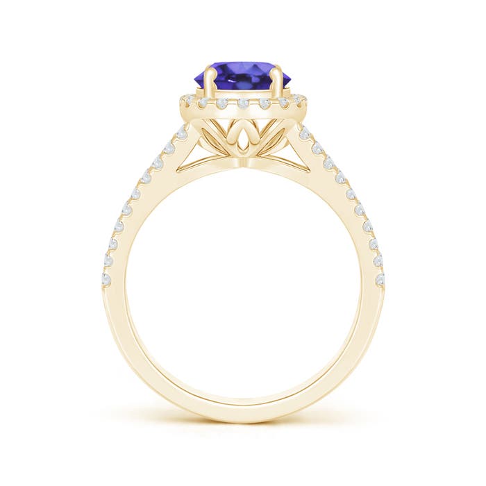 AA - Tanzanite / 1.91 CT / 14 KT Yellow Gold