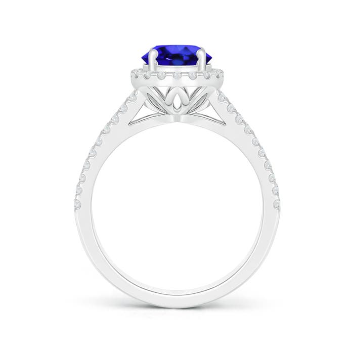 AAA - Tanzanite / 1.91 CT / 14 KT White Gold