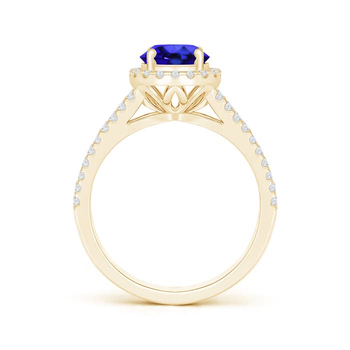 AAA - Tanzanite / 1.91 CT / 14 KT Yellow Gold