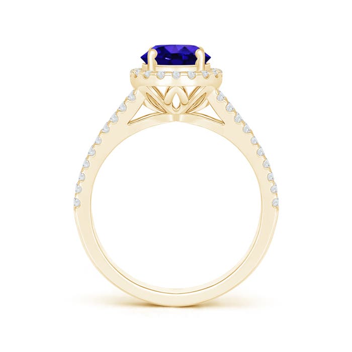 AAAA - Tanzanite / 1.91 CT / 14 KT Yellow Gold