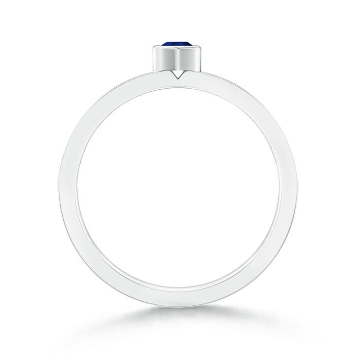 AA - Blue Sapphire / 0.27 CT / 14 KT White Gold