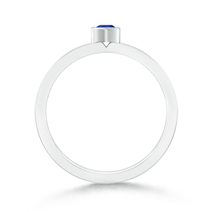 AAA - Blue Sapphire / 0.27 CT / 14 KT White Gold