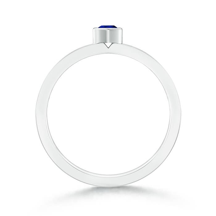 AAAA - Blue Sapphire / 0.27 CT / 14 KT White Gold