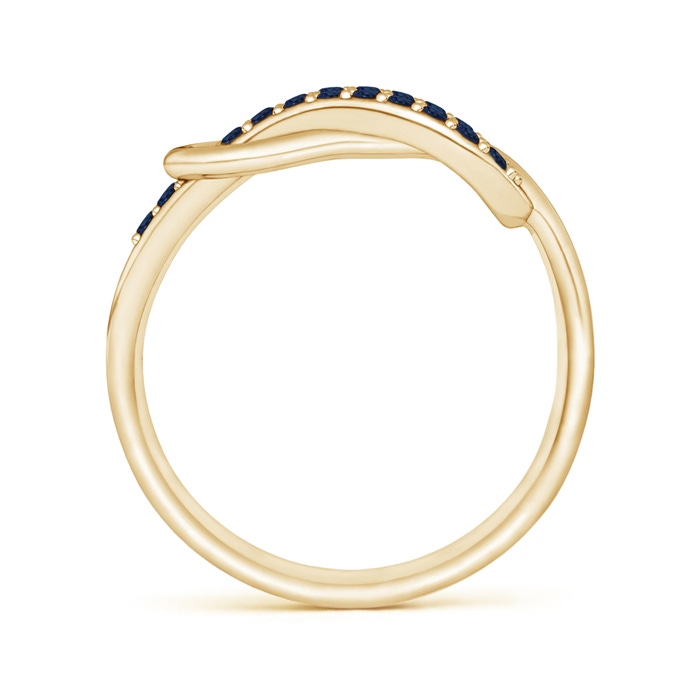 1.3mm AA Encrusted Blue Sapphire Infinity Love Knot Ring in Yellow Gold side-1