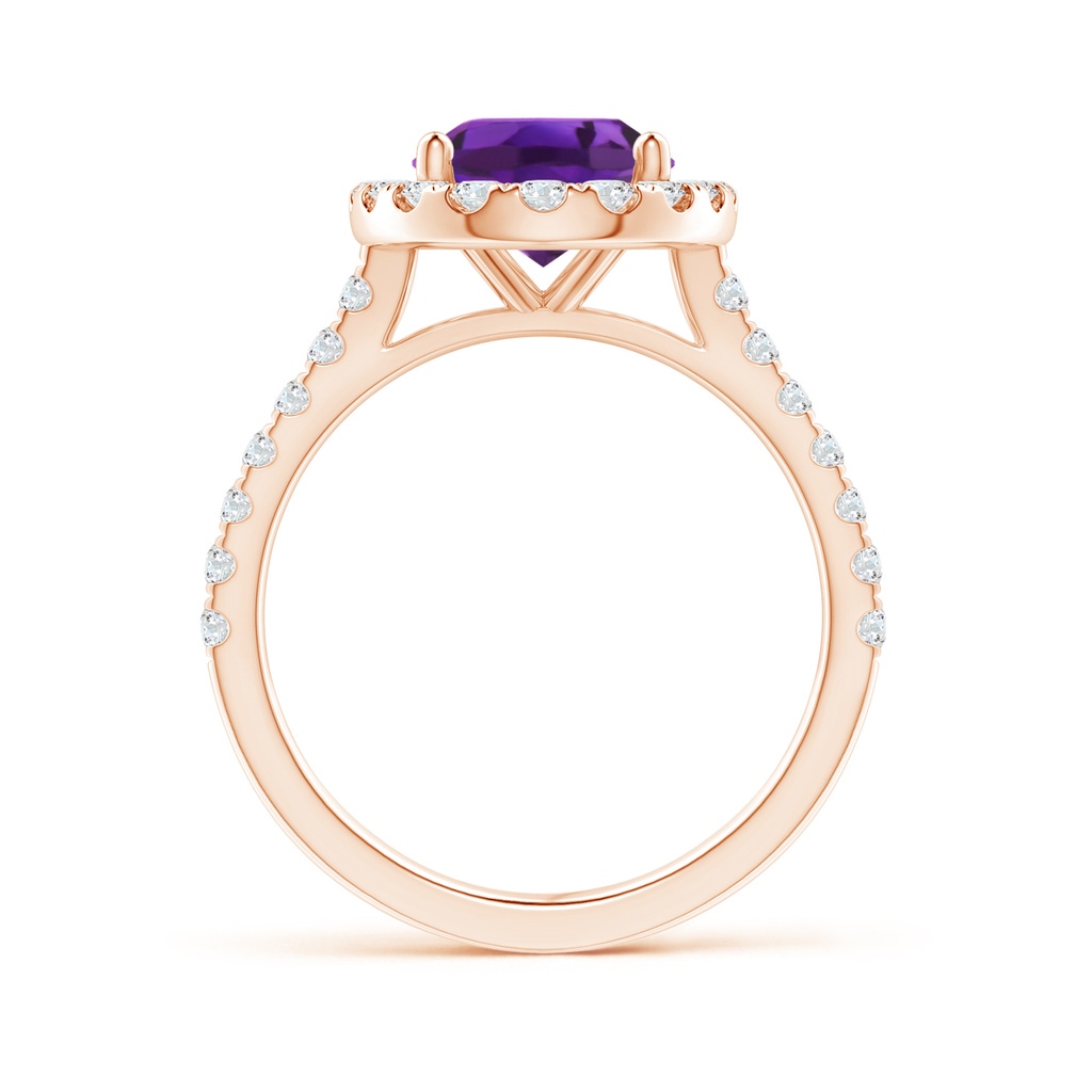 10x8mm AAAA Prong-Set Oval Amethyst Halo Ring with Diamond Accents in Rose Gold - side 199