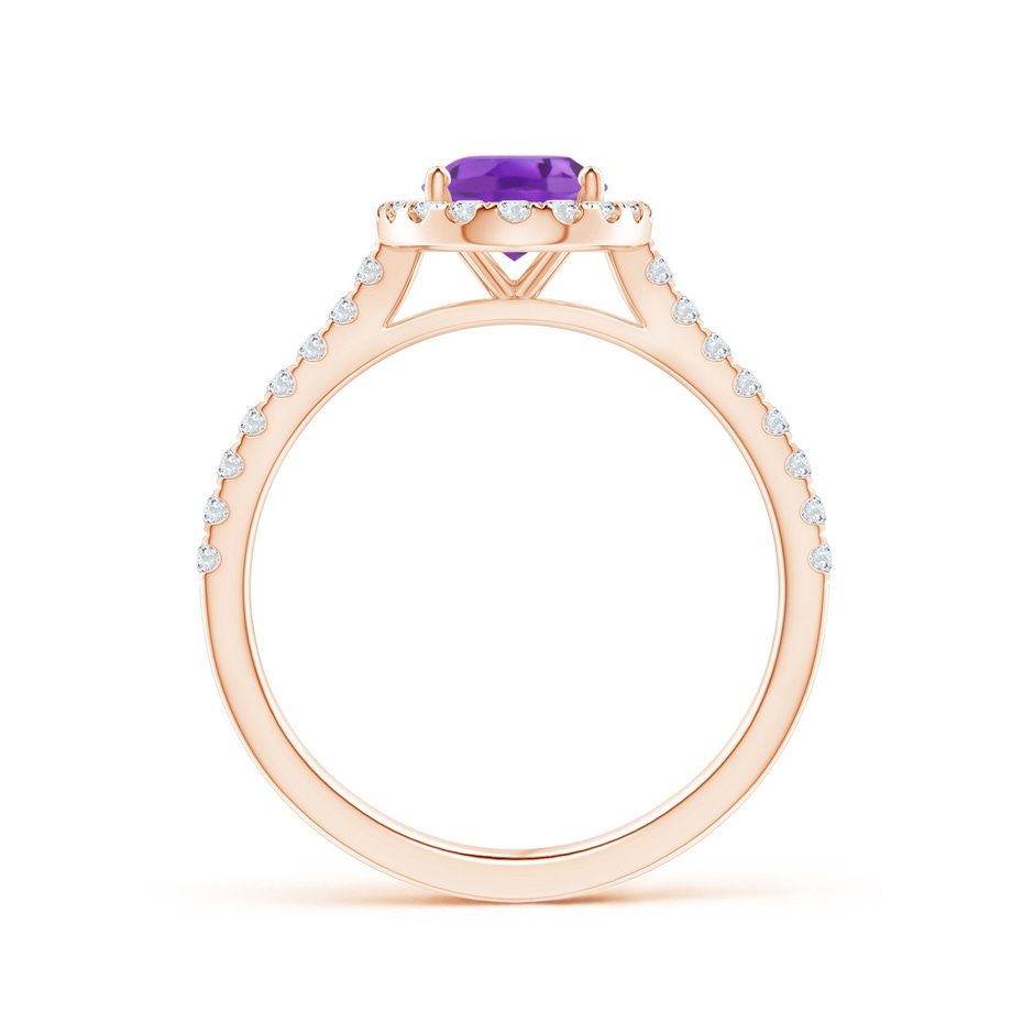 8x6mm AA Prong-Set Oval Amethyst Halo Ring with Diamond Accents in Rose Gold side 199