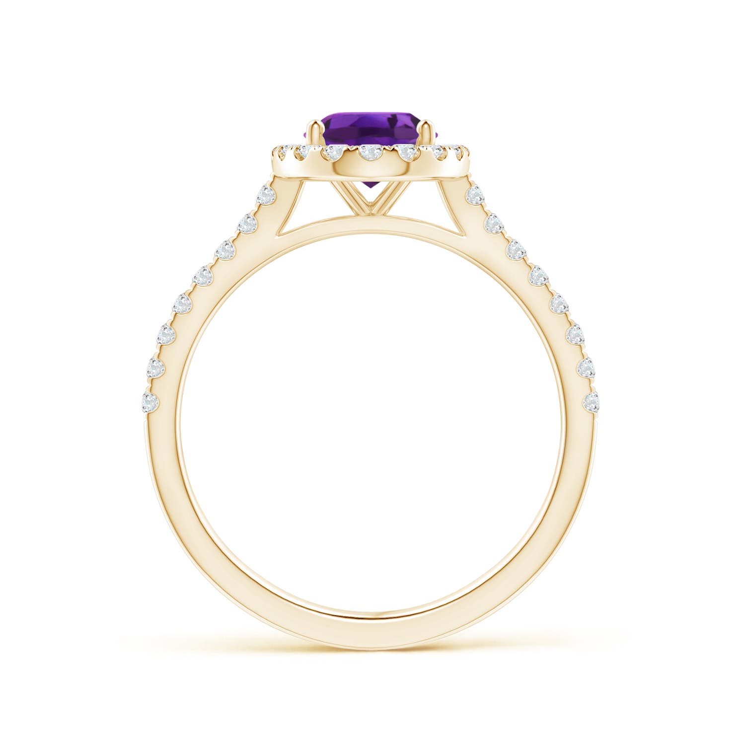 AAAA - Amethyst / 1.49 CT / 14 KT Yellow Gold