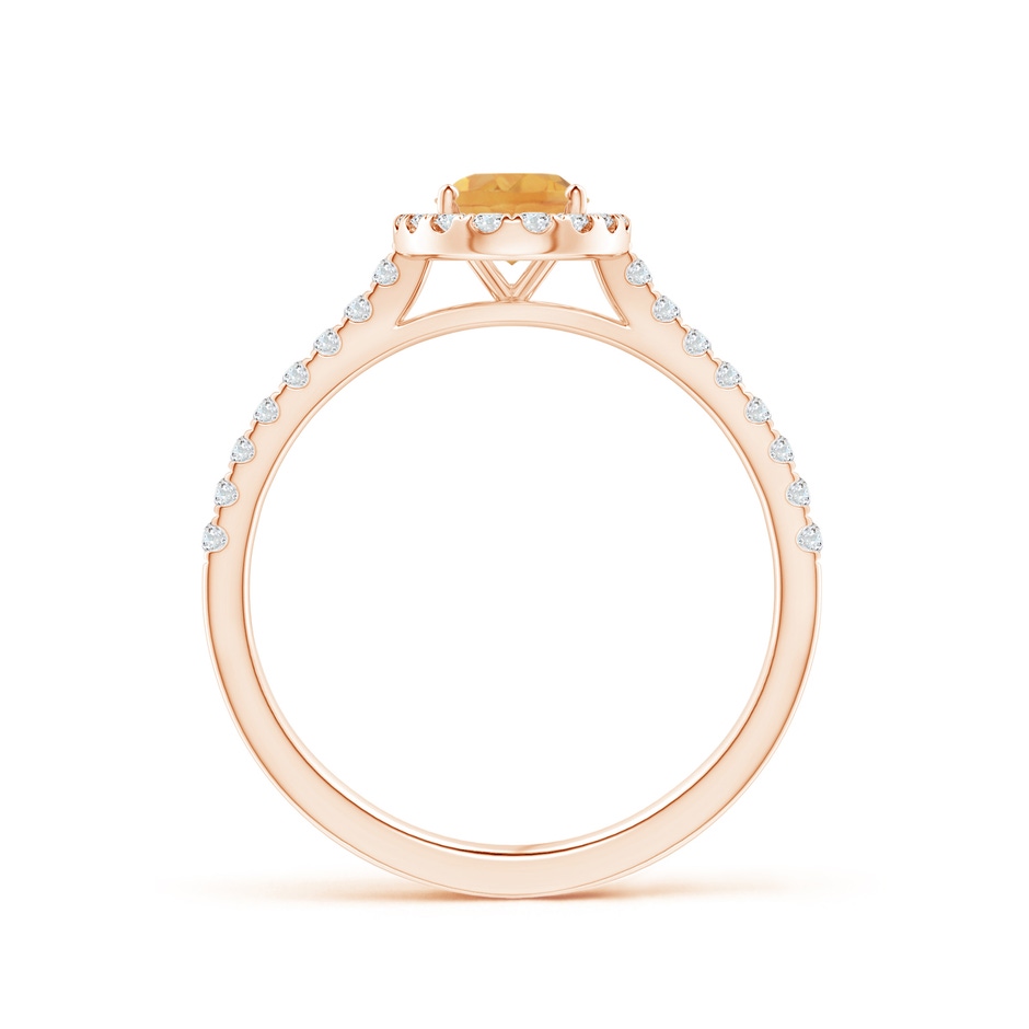 7x5mm A Prong-Set Oval Citrine Halo Ring with Diamond Accents in Rose Gold side 199