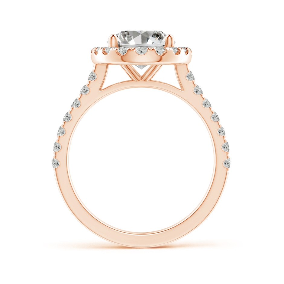 10x8mm JI2 Oval Diamond Halo Ring with Accents in Rose Gold side 199