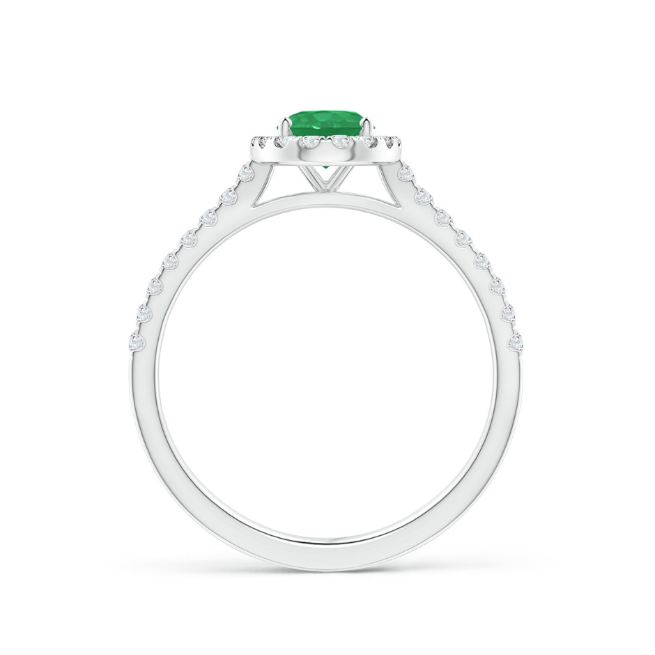 7x5mm A Oval Emerald Halo Ring with Diamond Accents in P950 Platinum side 199