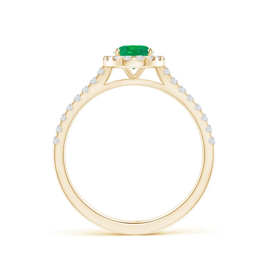 7x5mm AA Oval Emerald Halo Ring with Diamond Accents in Yellow Gold side 199