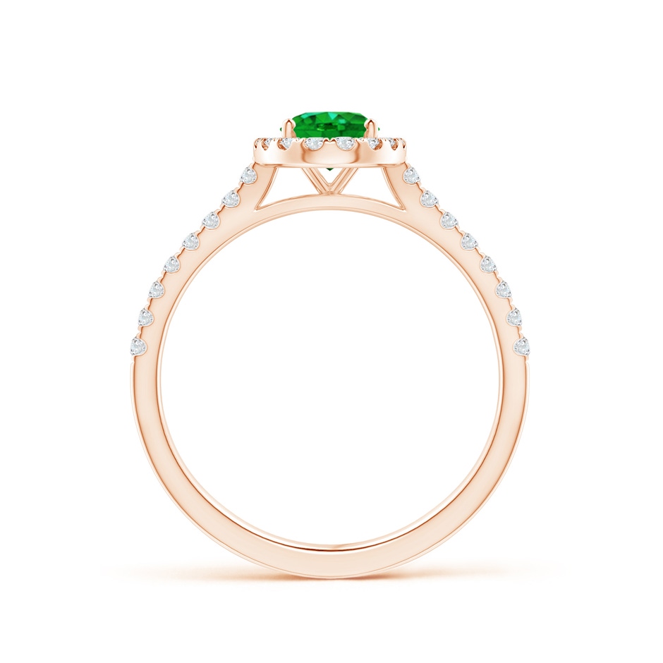 7x5mm AAAA Oval Emerald Halo Ring with Diamond Accents in Rose Gold side 199