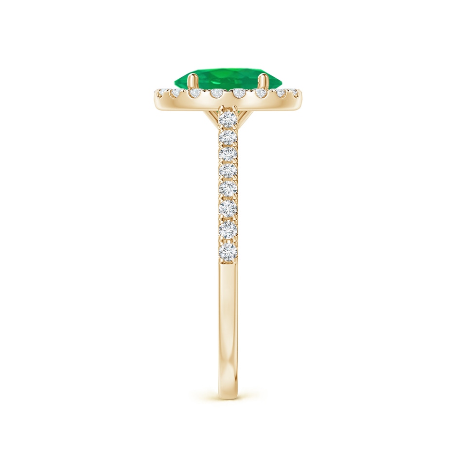 8x6mm AA Oval Emerald Halo Ring with Diamond Accents in Yellow Gold side 299