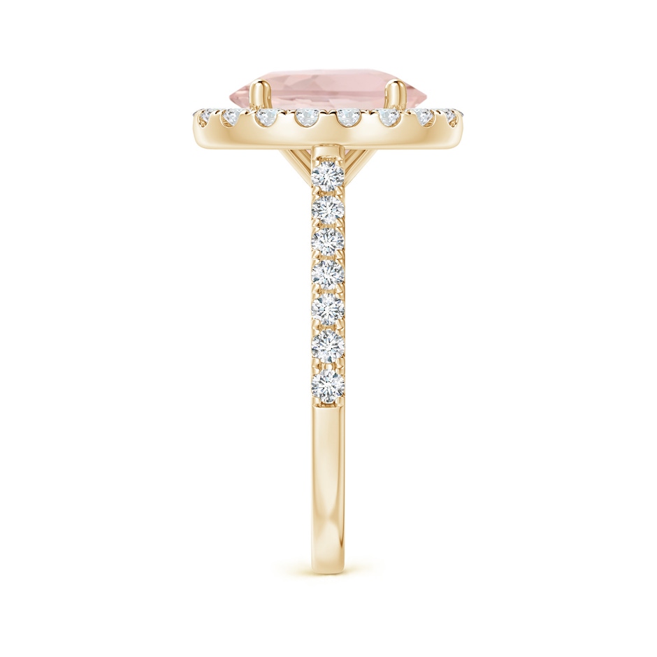10x8mm A Oval Morganite Halo Ring with Diamond Accents in Yellow Gold side 299