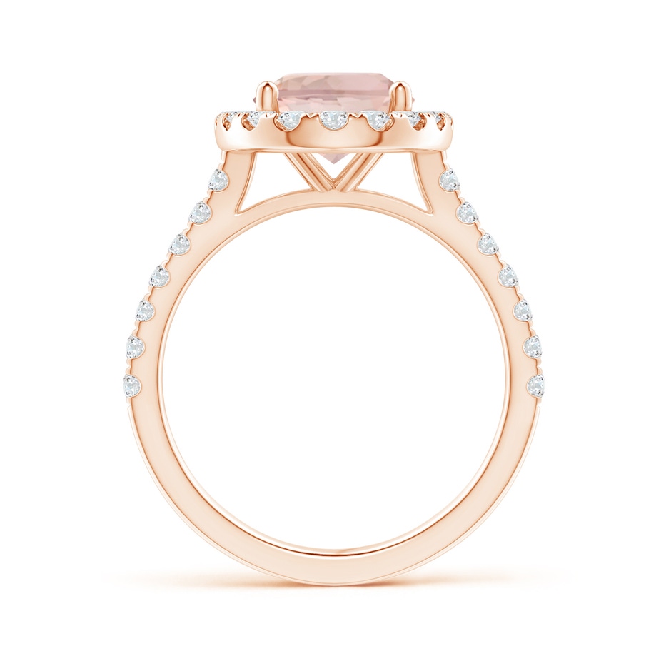 10x8mm AA Oval Morganite Halo Ring with Diamond Accents in Rose Gold side 199