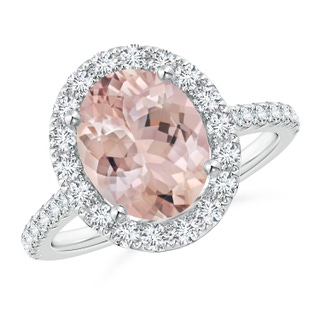 Oval AA Morganite