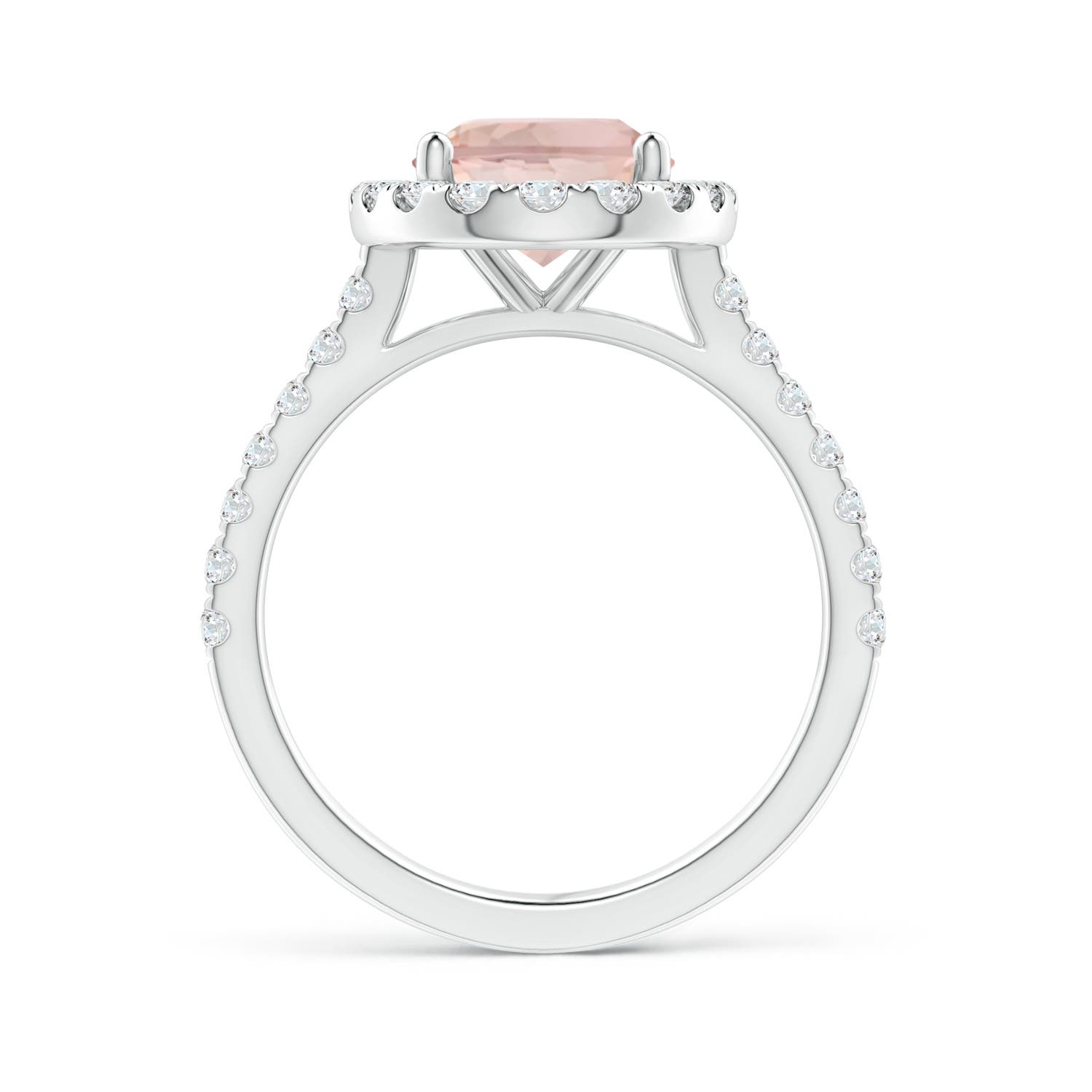 AA - Morganite / 3.17 CT / 14 KT White Gold