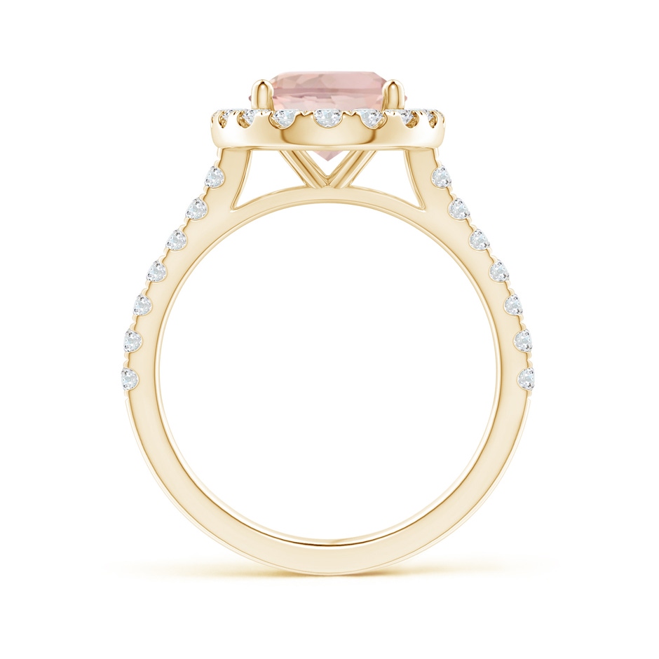 10x8mm AA Oval Morganite Halo Ring with Diamond Accents in Yellow Gold side 199
