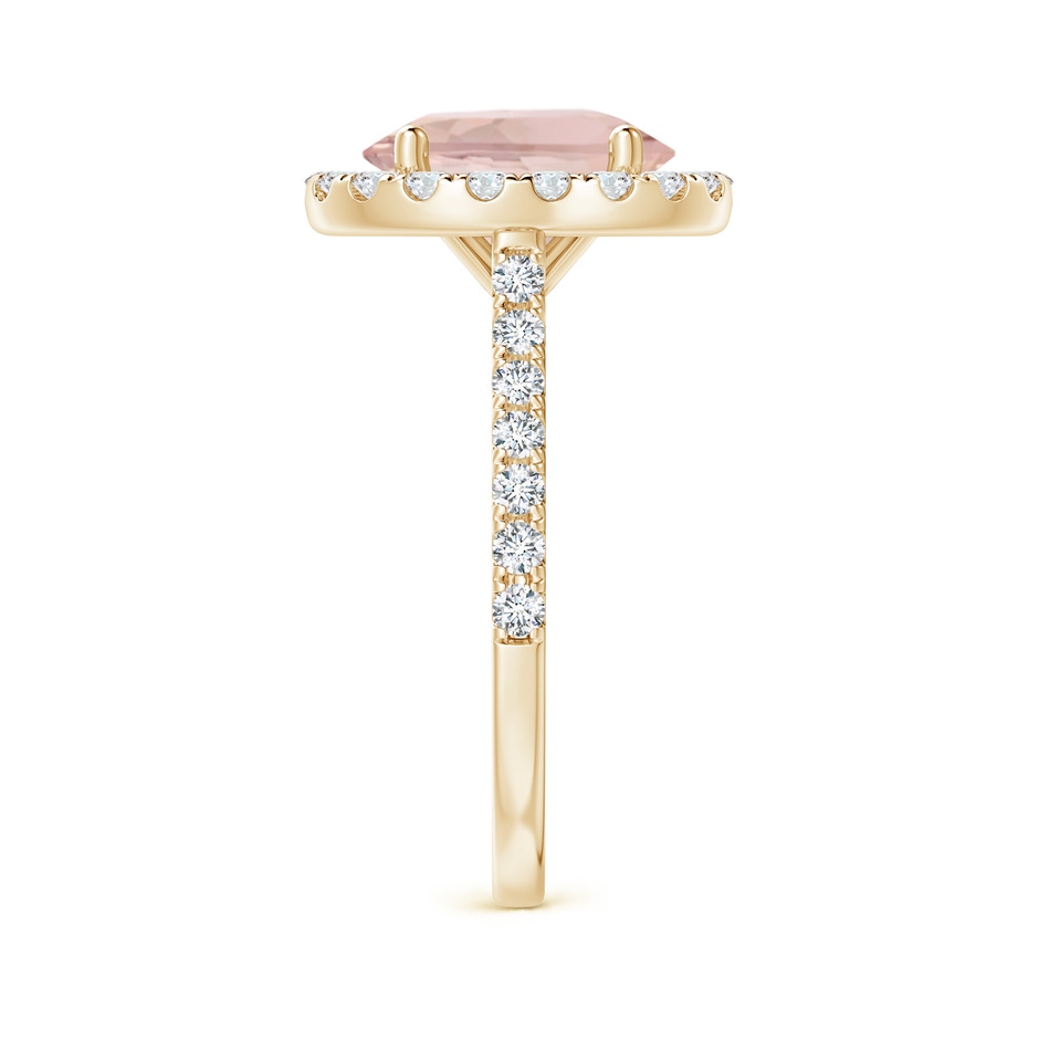 10x8mm AA Oval Morganite Halo Ring with Diamond Accents in Yellow Gold side 299