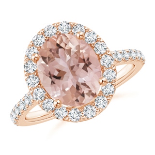 10x8mm AAA Oval Morganite Halo Ring with Diamond Accents in 18K Rose Gold