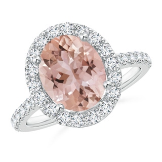 10x8mm AAA Oval Morganite Halo Ring with Diamond Accents in P950 Platinum