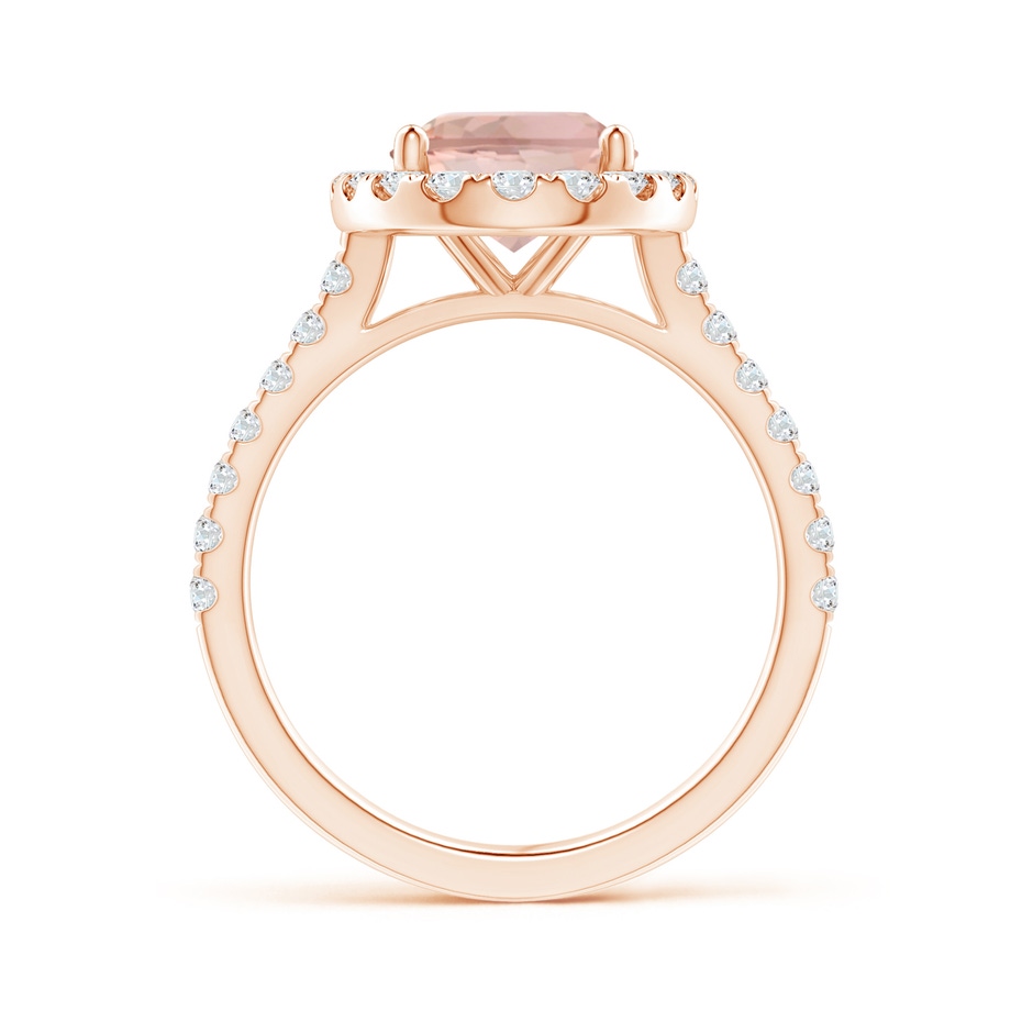 10x8mm AAA Oval Morganite Halo Ring with Diamond Accents in Rose Gold side 199