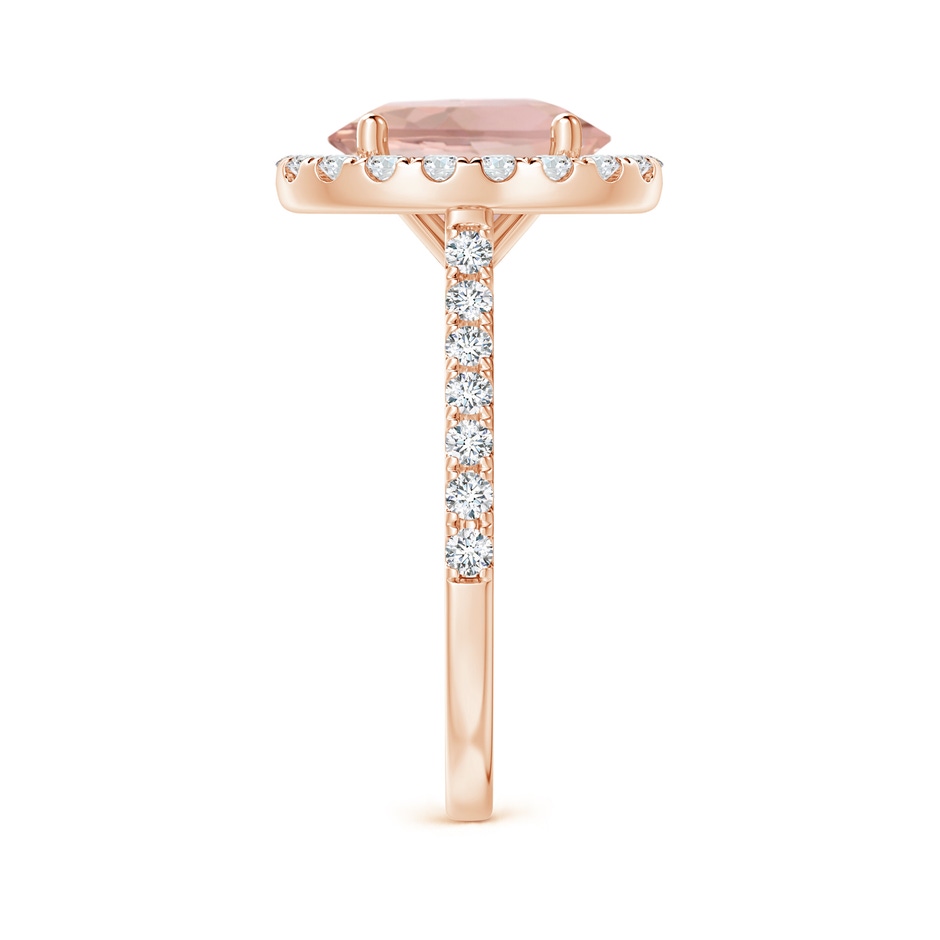 10x8mm AAA Oval Morganite Halo Ring with Diamond Accents in Rose Gold side 299