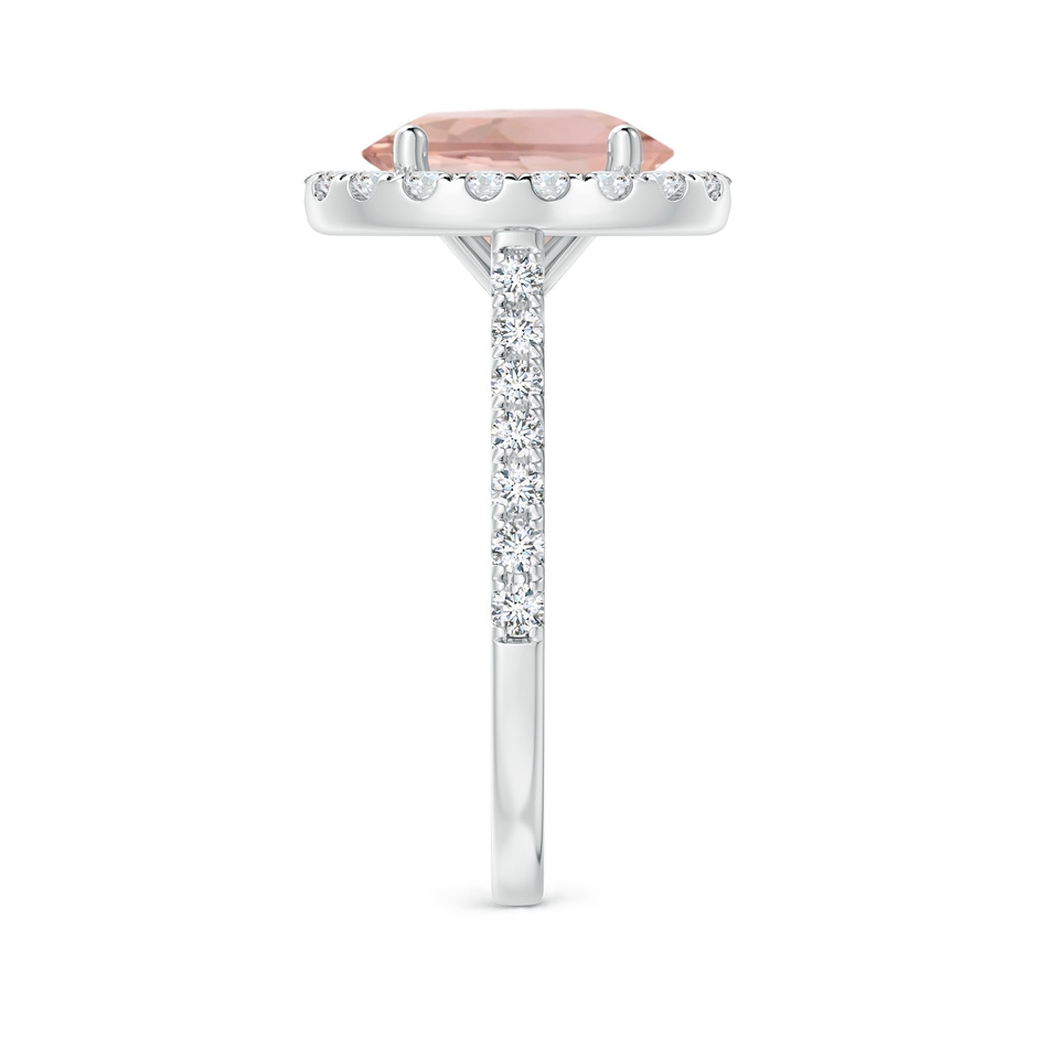10x8mm AAA Oval Morganite Halo Ring with Diamond Accents in White Gold side 299