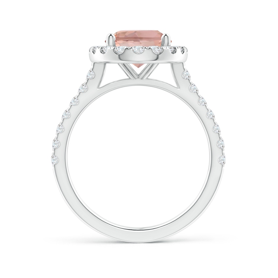 10x8mm AAAA Oval Morganite Halo Ring with Diamond Accents in P950 Platinum side 199