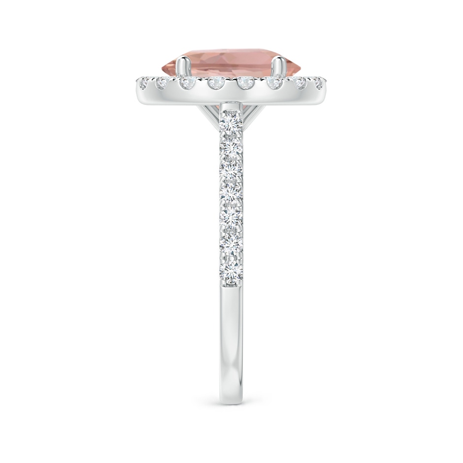 10x8mm AAAA Oval Morganite Halo Ring with Diamond Accents in P950 Platinum side 299