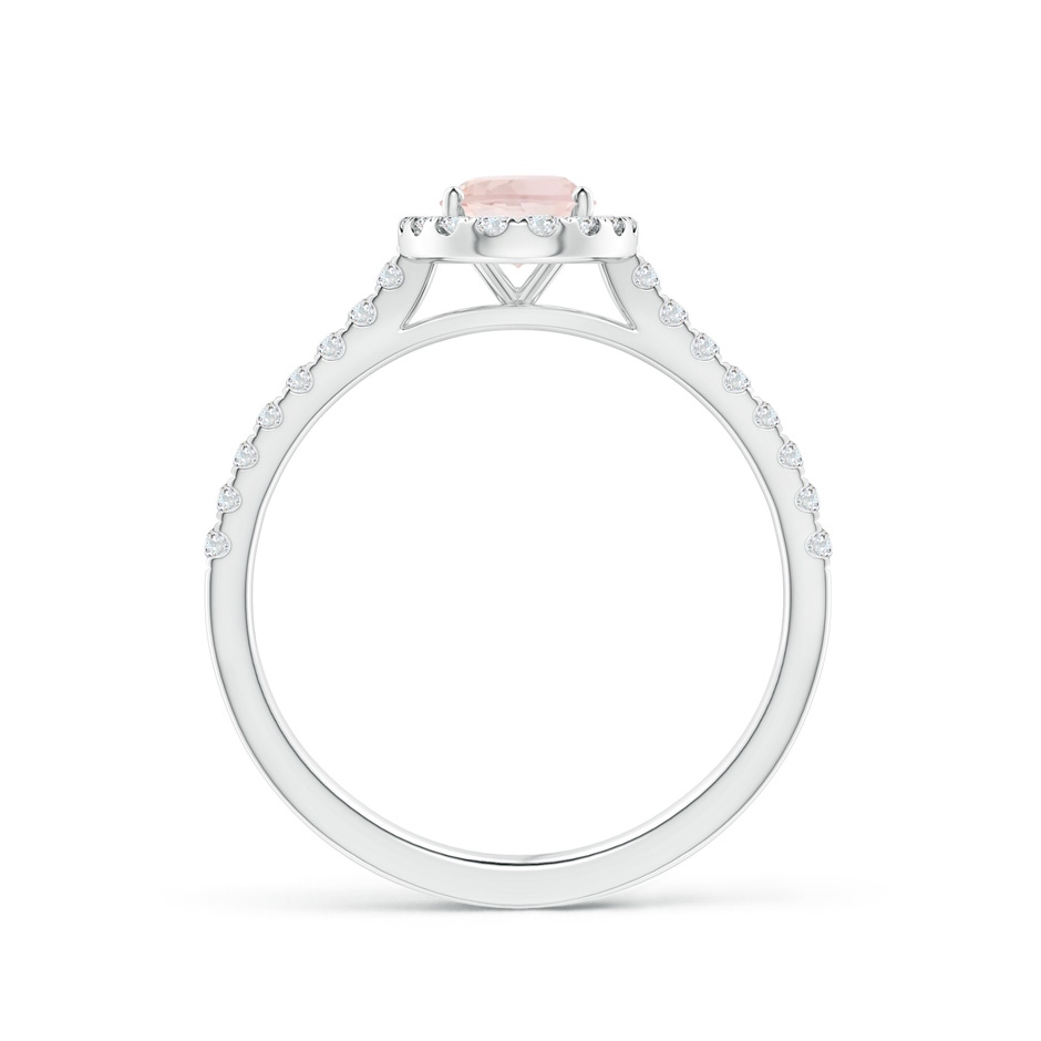 7x5mm A Oval Morganite Halo Ring with Diamond Accents in White Gold side 199