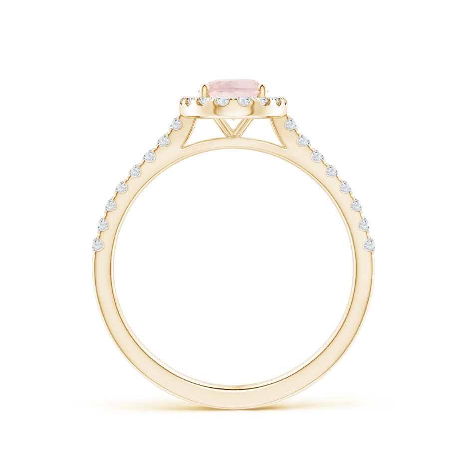 7x5mm A Oval Morganite Halo Ring with Diamond Accents in Yellow Gold side 199