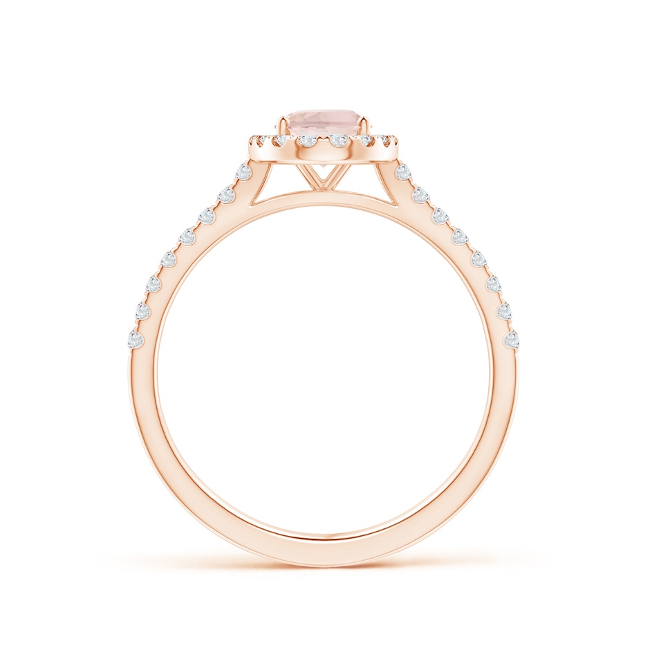 7x5mm AA Oval Morganite Halo Ring with Diamond Accents in Rose Gold side 199