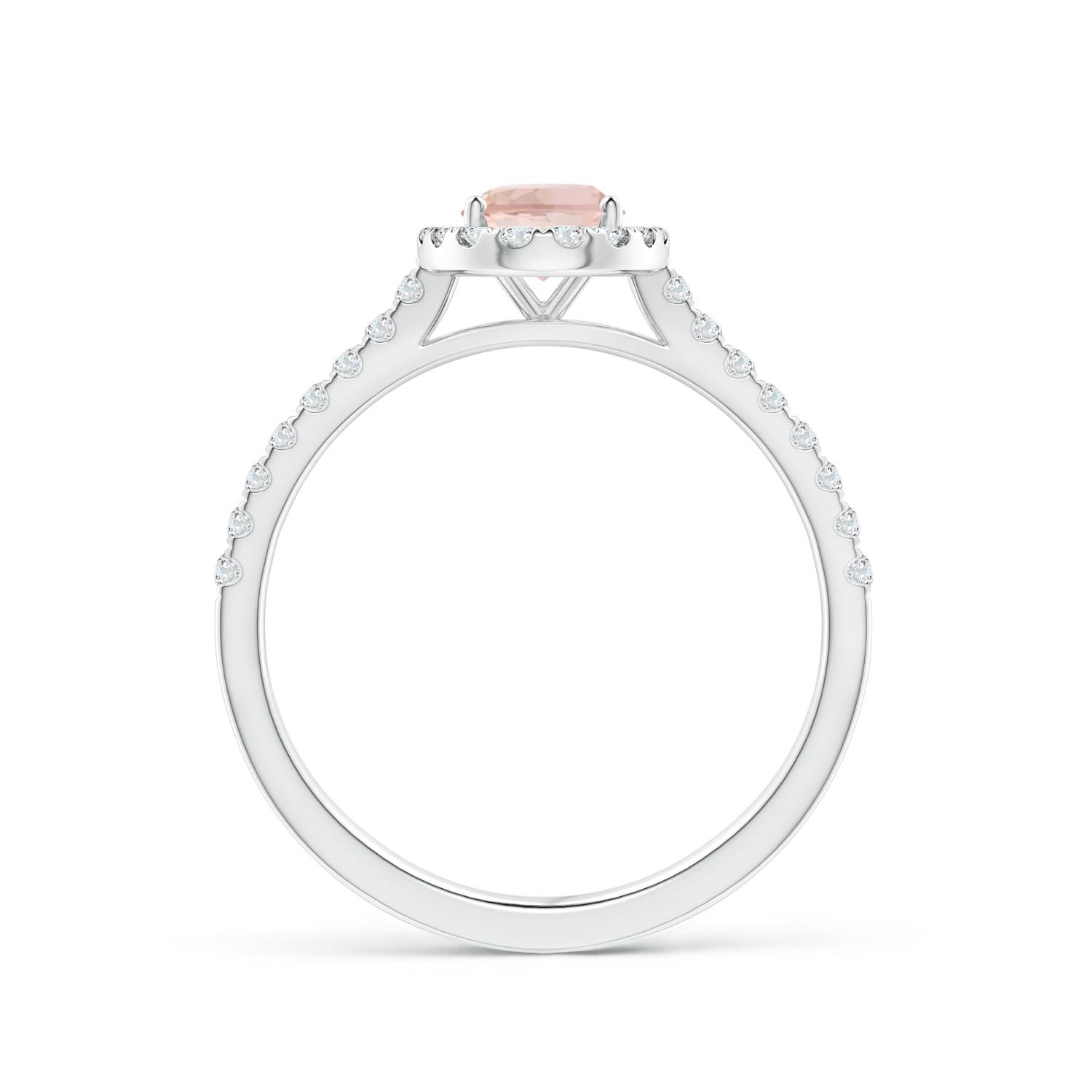 AAA - Morganite / 0.96 CT / 14 KT White Gold