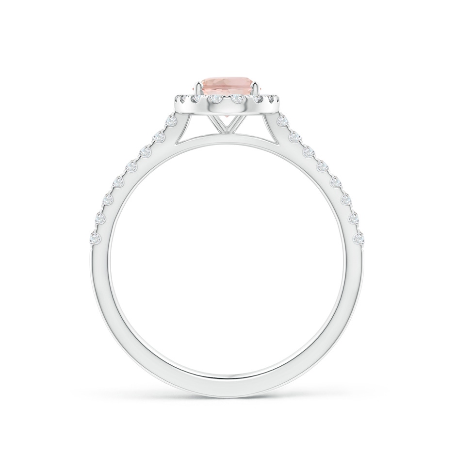 7x5mm AAA Oval Morganite Halo Ring with Diamond Accents in White Gold side 199
