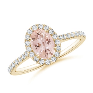 Oval AAA Morganite