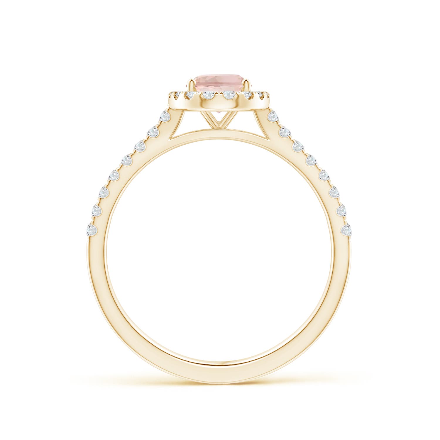 AAA - Morganite / 0.96 CT / 14 KT Yellow Gold