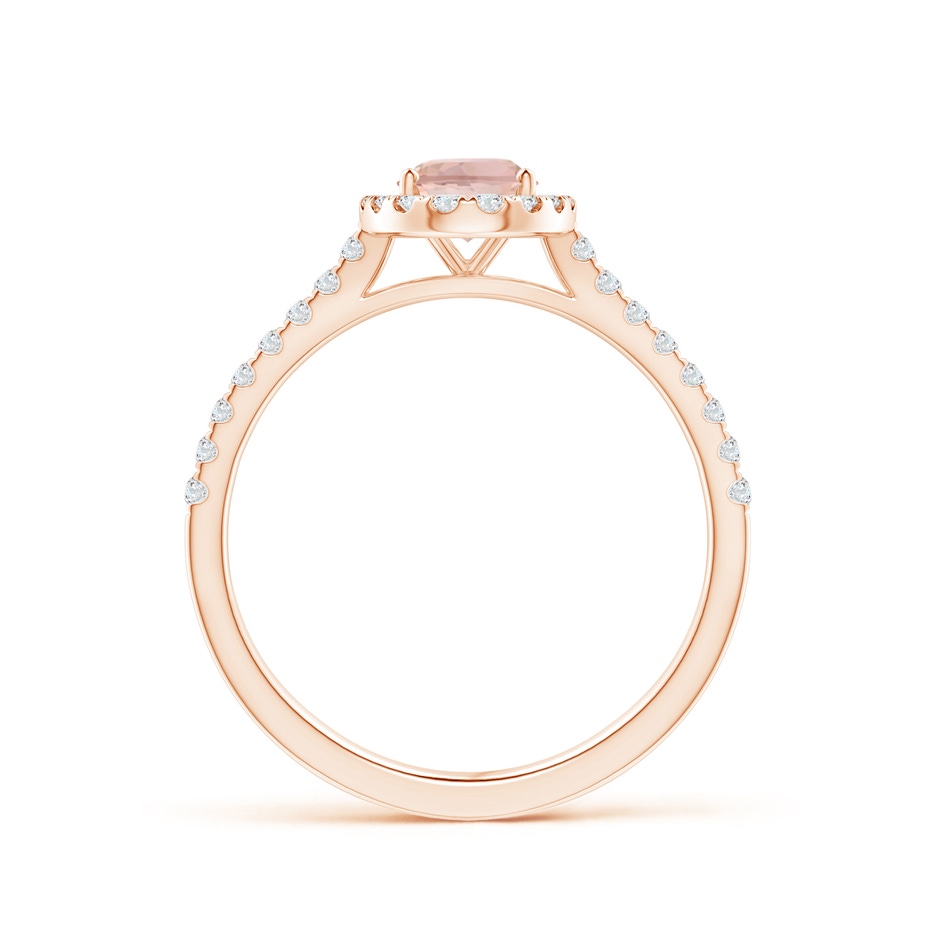 7x5mm AAAA Oval Morganite Halo Ring with Diamond Accents in 9K Rose Gold side 199
