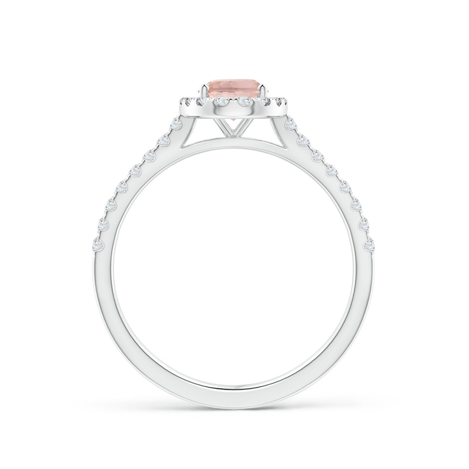 7x5mm AAAA Oval Morganite Halo Ring with Diamond Accents in P950 Platinum side 199