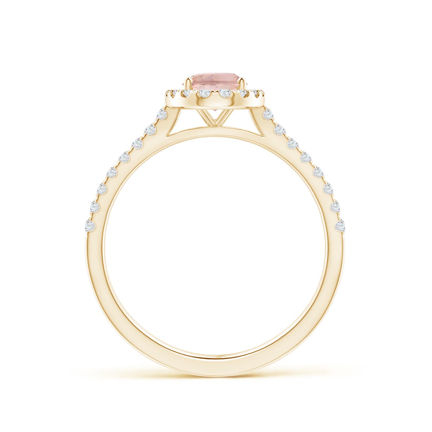 AAAA - Morganite / 0.96 CT / 14 KT Yellow Gold