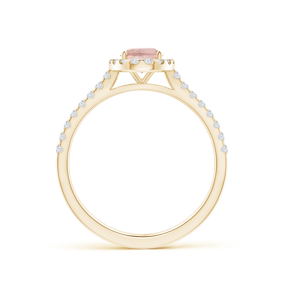 7x5mm AAAA Oval Morganite Halo Ring with Diamond Accents in Yellow Gold side 199