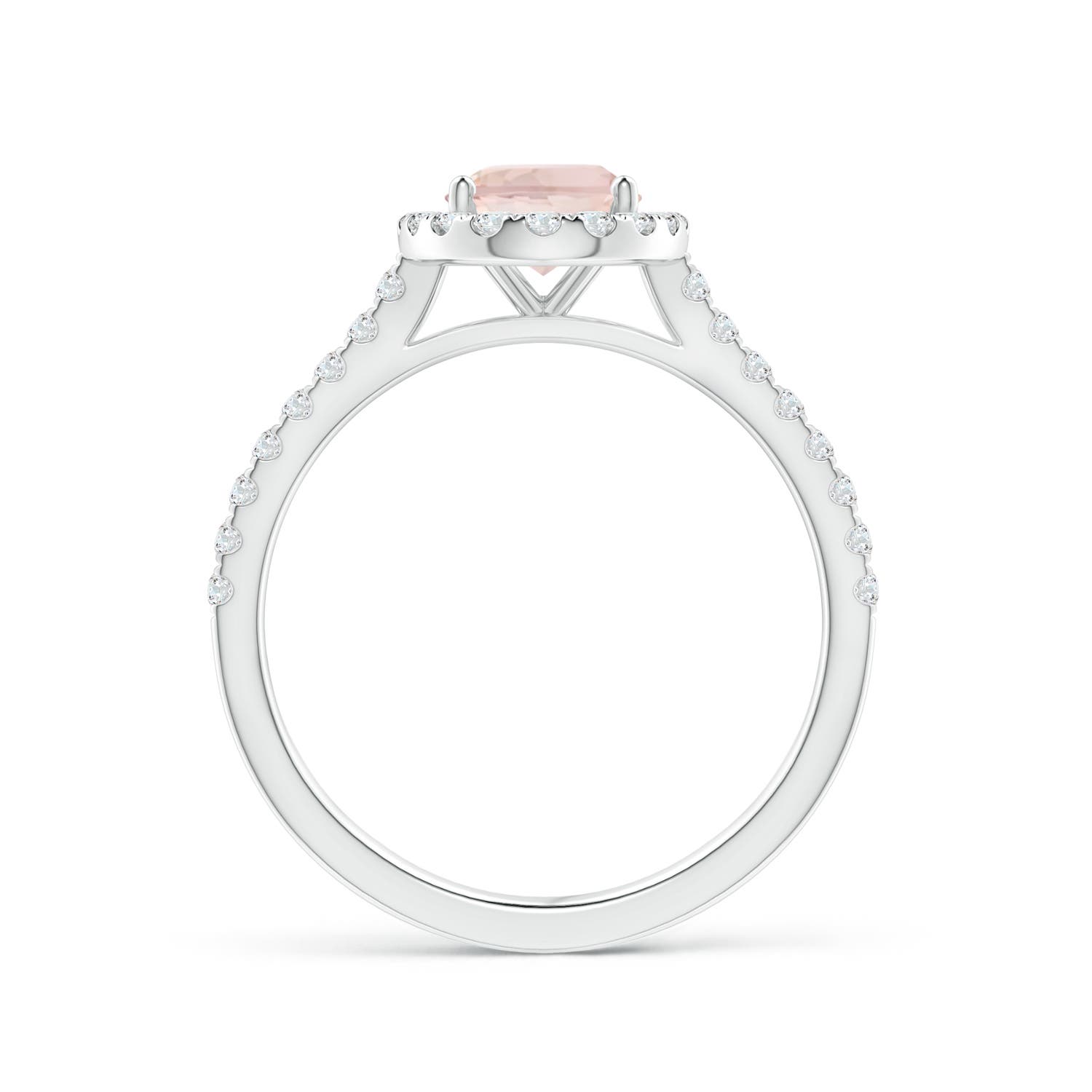 AA - Morganite / 1.44 CT / 14 KT White Gold